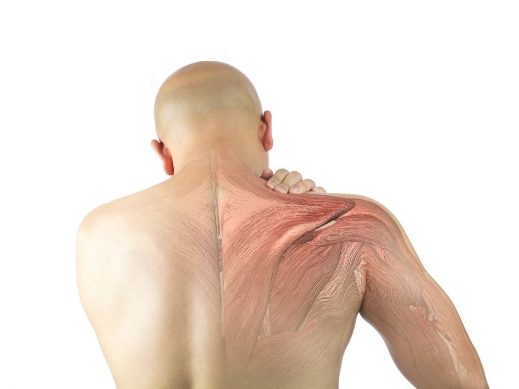 Muscle soreness. What can we do to prevent muscle soreness? Nicoflex